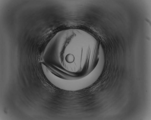 X0000091911348200710031011