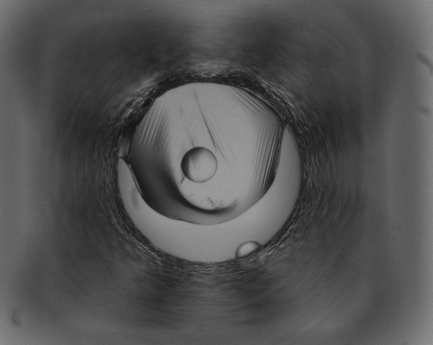 X0000091911349200710031011