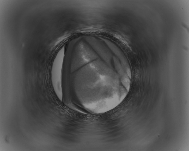 X0000091911350200710031011