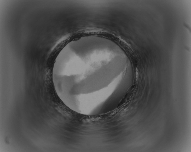 X0000091911351200710031011