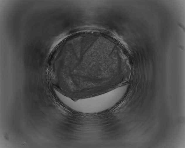 X0000091911352200710031011