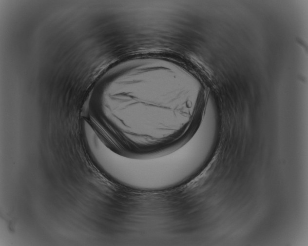 X0000091911353200710031011