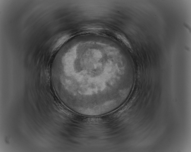 X0000091911354200710031011