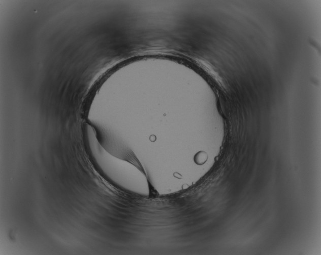 X0000091911356200710031011