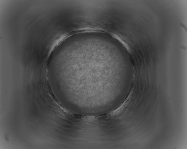 X0000091911357200710031011