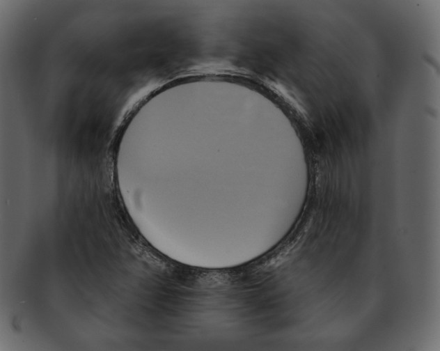 X0000091911358200710031011