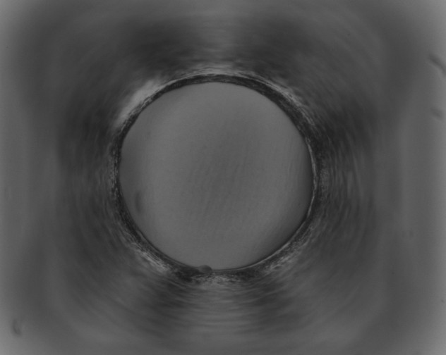 X0000091911359200710031011