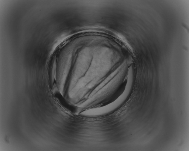 X0000091911360200710031011