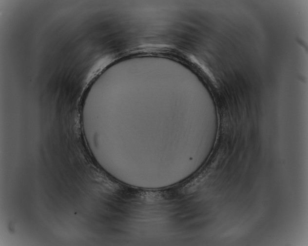 X0000091911362200710031011