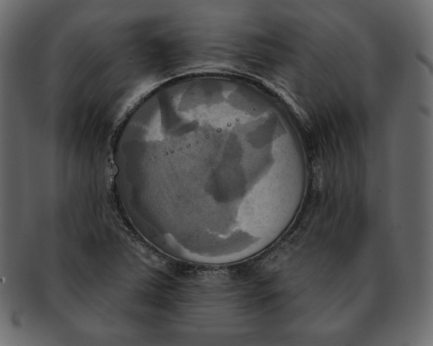 X0000091911363200710031011