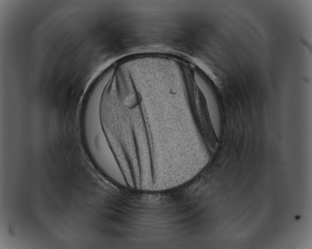 X0000091911364200710031011