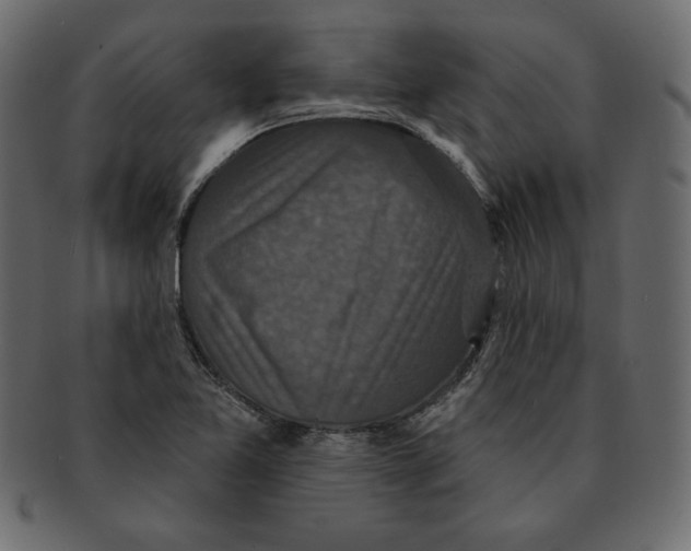 X0000091911365200710031011