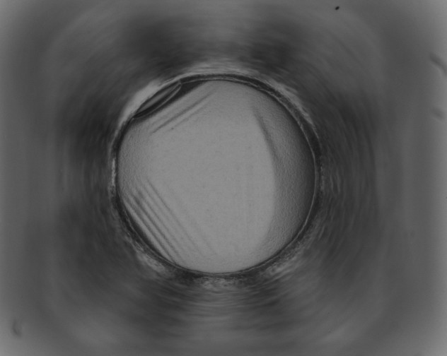 X0000091911366200710031011