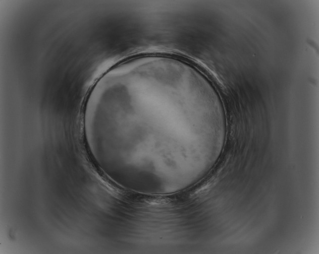 X0000091911367200710031011