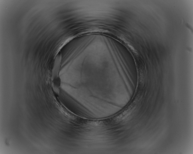 X0000091911369200710031011