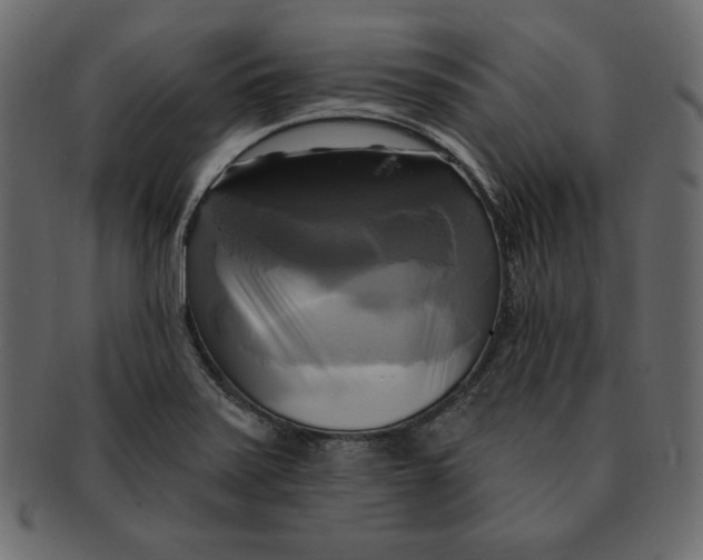 X0000091911371200710031011