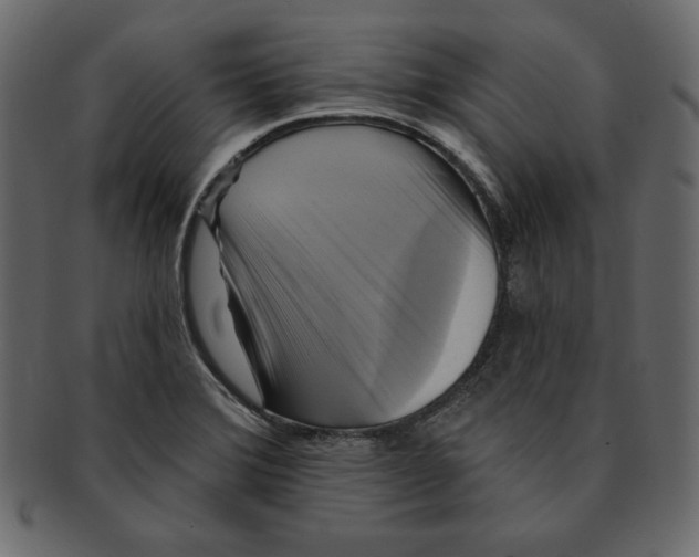 X0000091911372200710031011