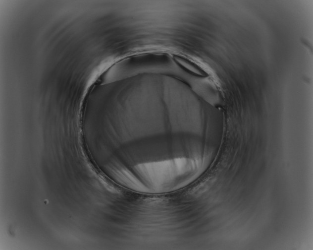 X0000091911373200710031011