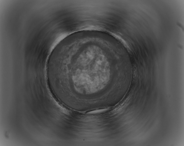 X0000091911375200710031011