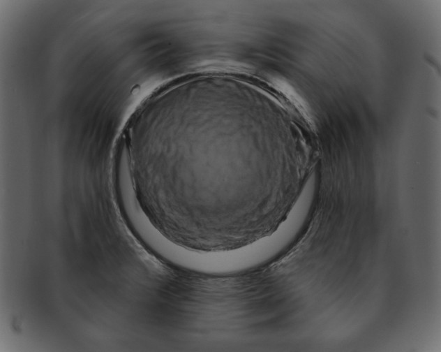 X0000091911376200710031011