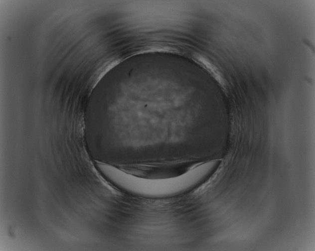 X0000091911377200710031011