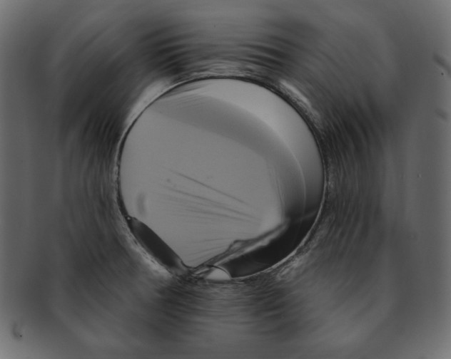 X0000091911378200710031011