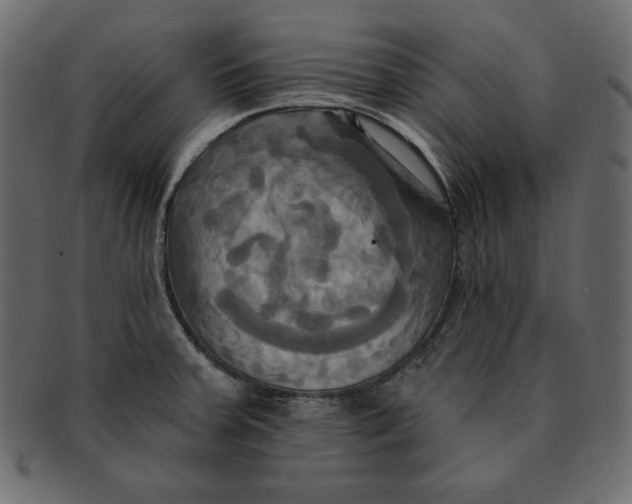 X0000091911379200710031011