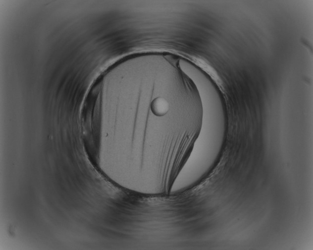 X0000091911380200710031011