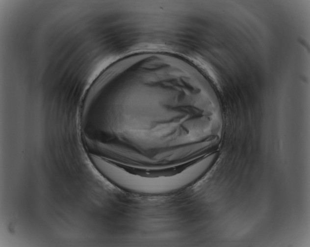 X0000091911382200710031011