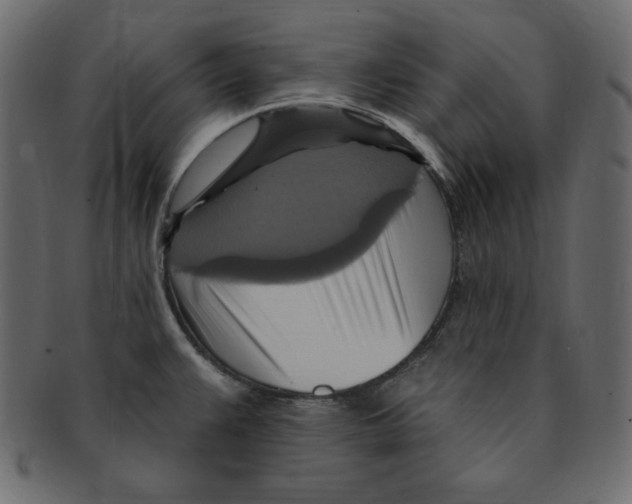 X0000091911383200710031011