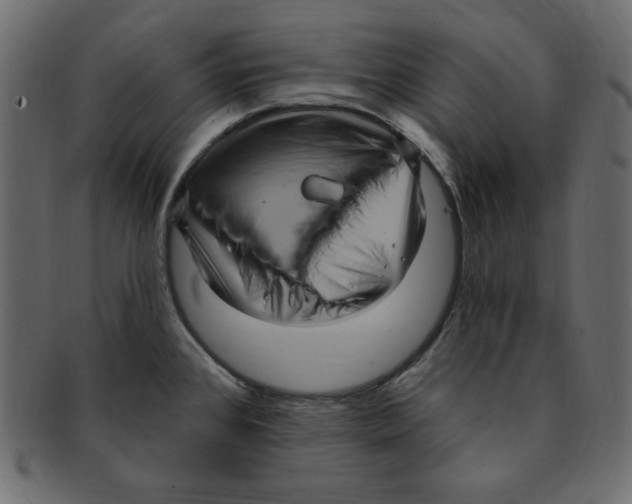 X0000091911384200710031011