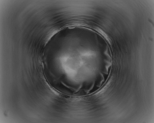 X0000091911385200710031011