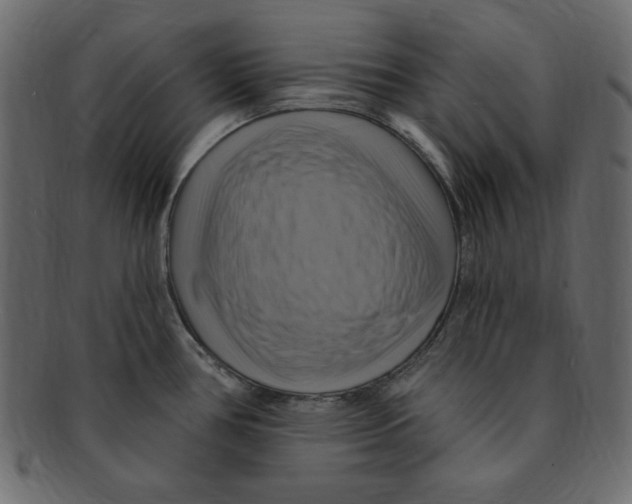 X0000091911386200710031011