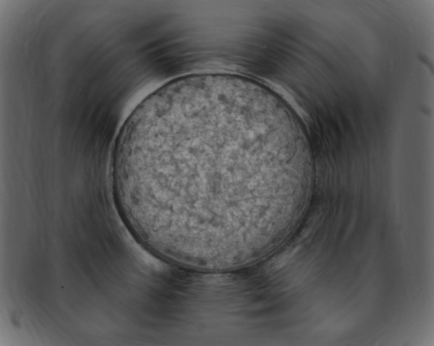 X0000091911387200710031011