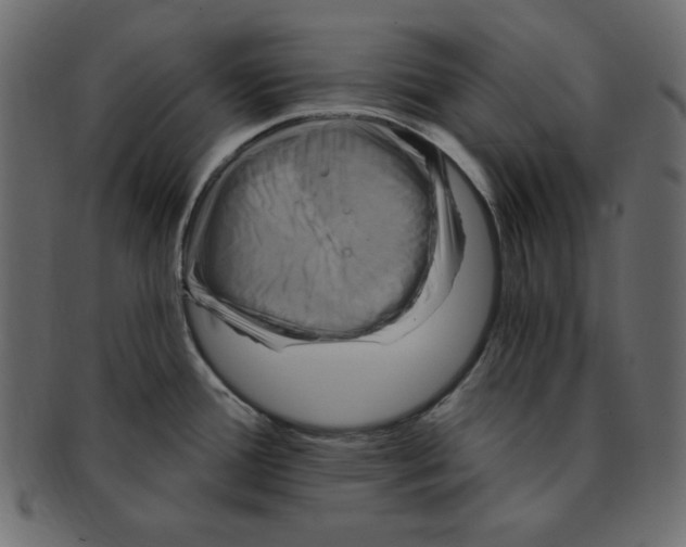 X0000091911388200710031011