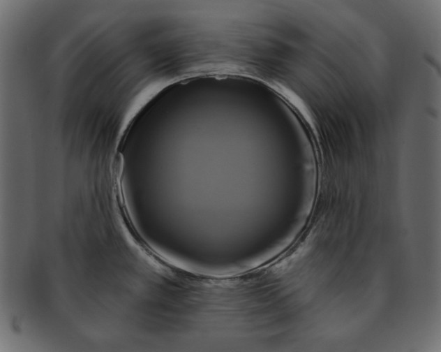 X0000091911389200710031011