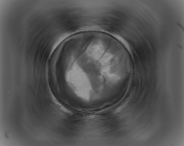 X0000091911390200710031011