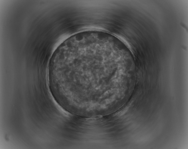 X0000091911391200710031011