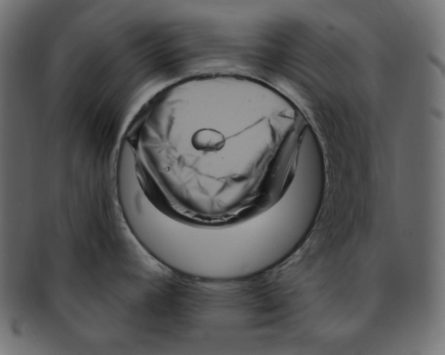 X0000091911392200710031011