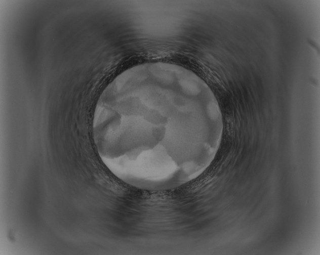 X0000091911393200710031010