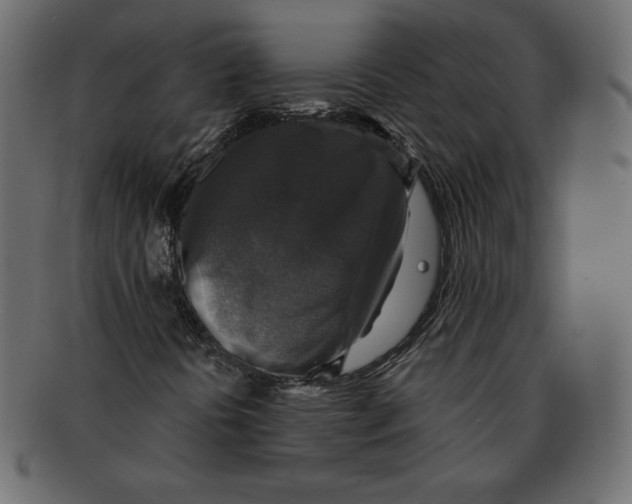 X0000091911394200710031010