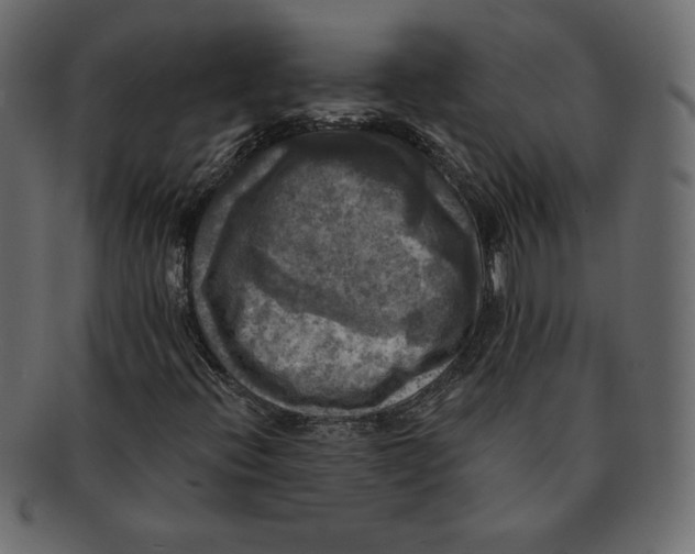 X0000091911396200710031010