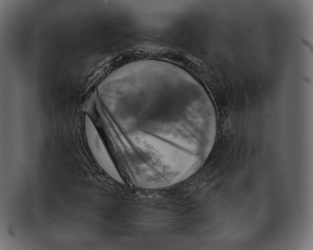 X0000091911397200710031010