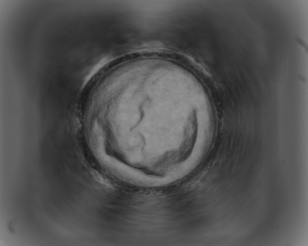 X0000091911400200710031010