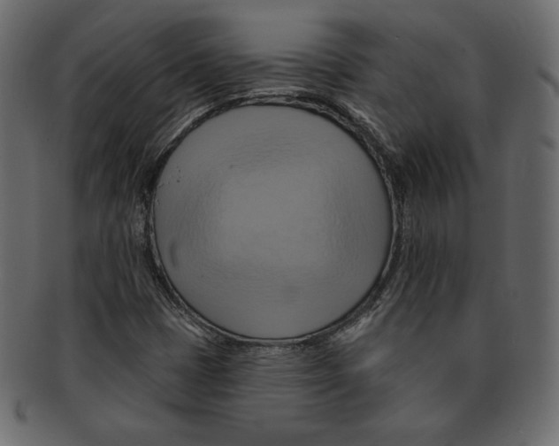 X0000091911401200710031010