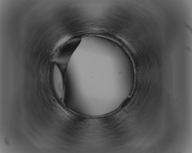 X0000091911402200710031010