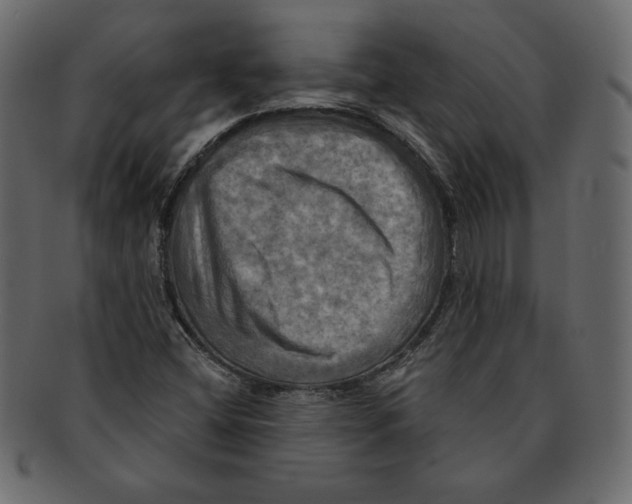 X0000091911404200710031010