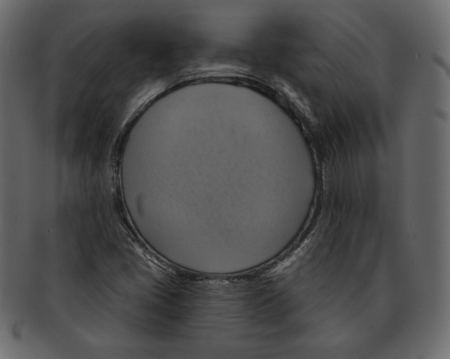 X0000091911405200710031010