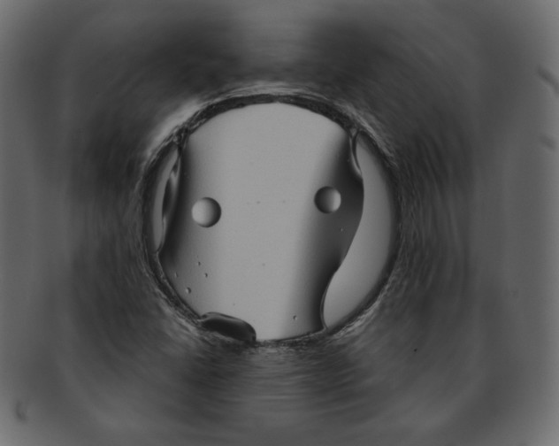 X0000091911406200710031010