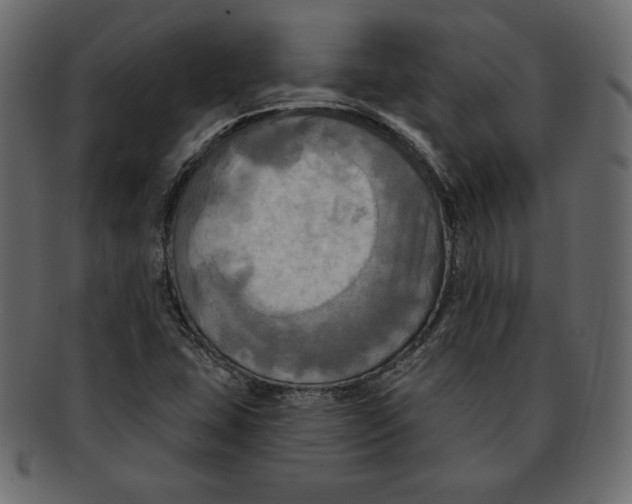 X0000091911407200710031010